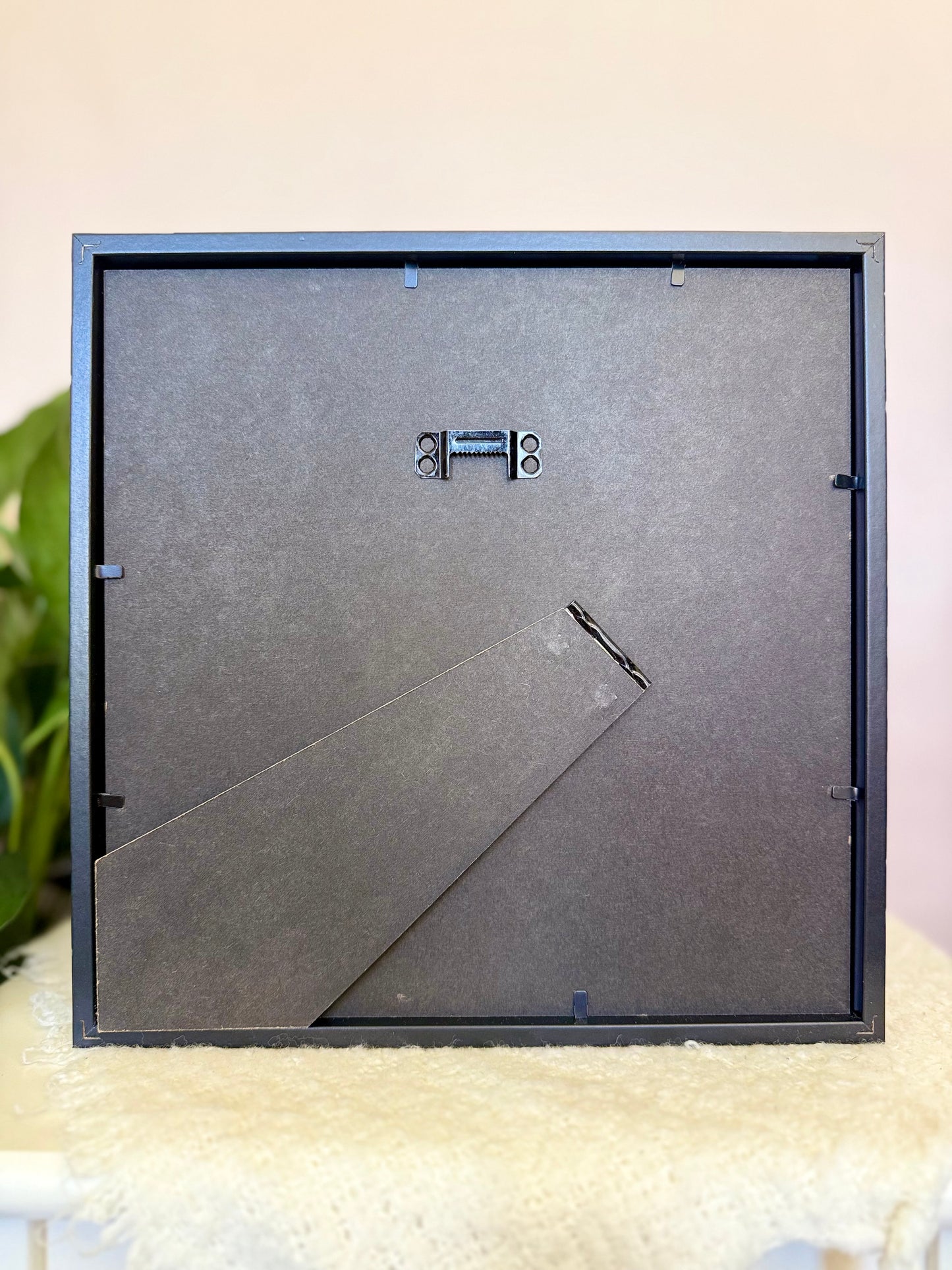 King Swallowtail Photo Frame