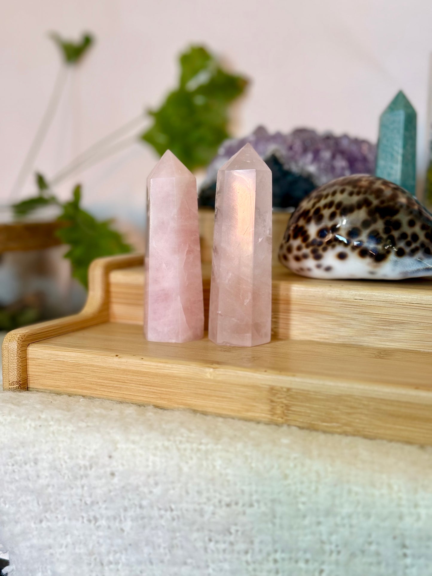 Rose Quartz Points