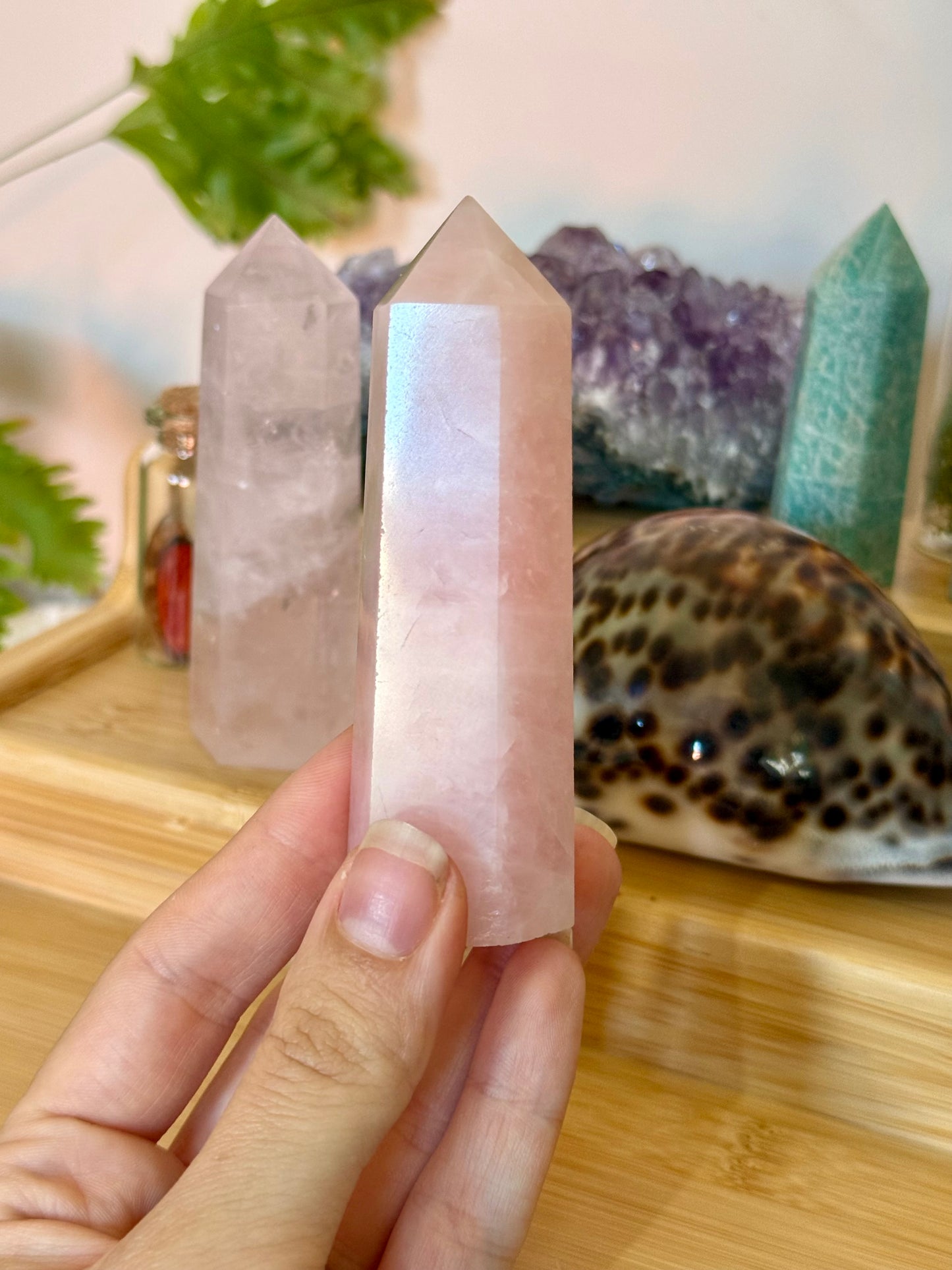 Rose Quartz Points