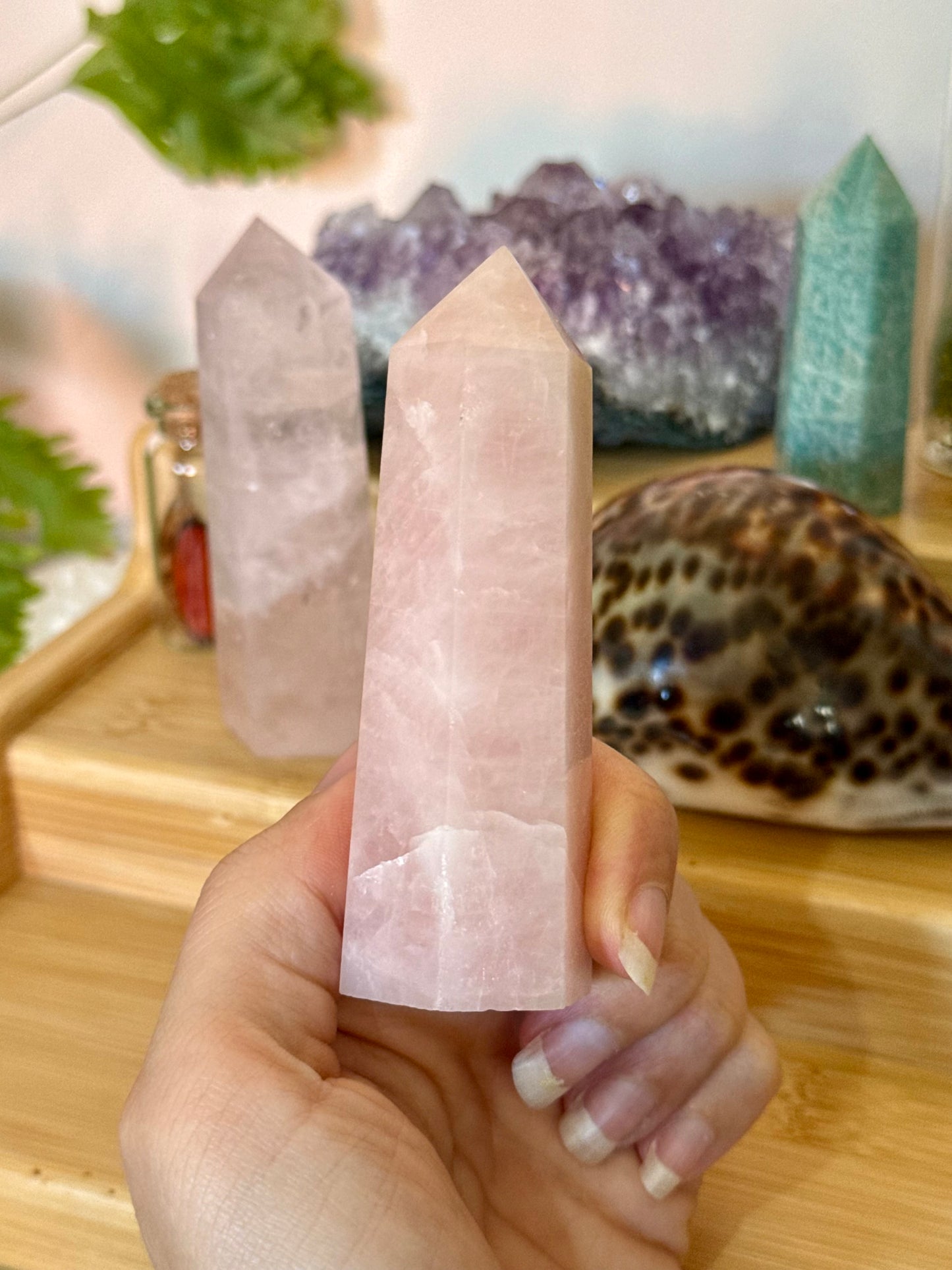 Rose Quartz Points