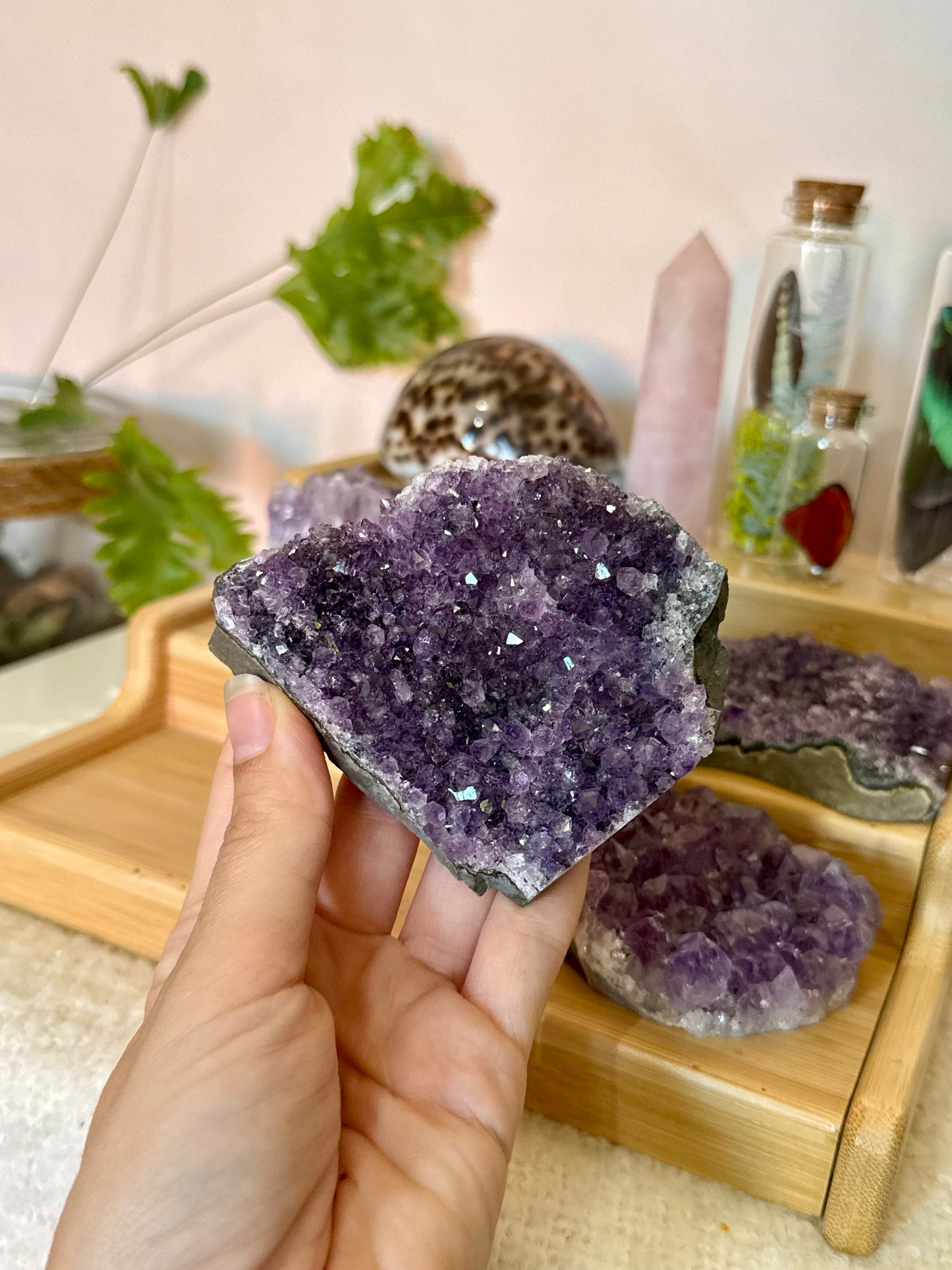 Amethyst Cluster