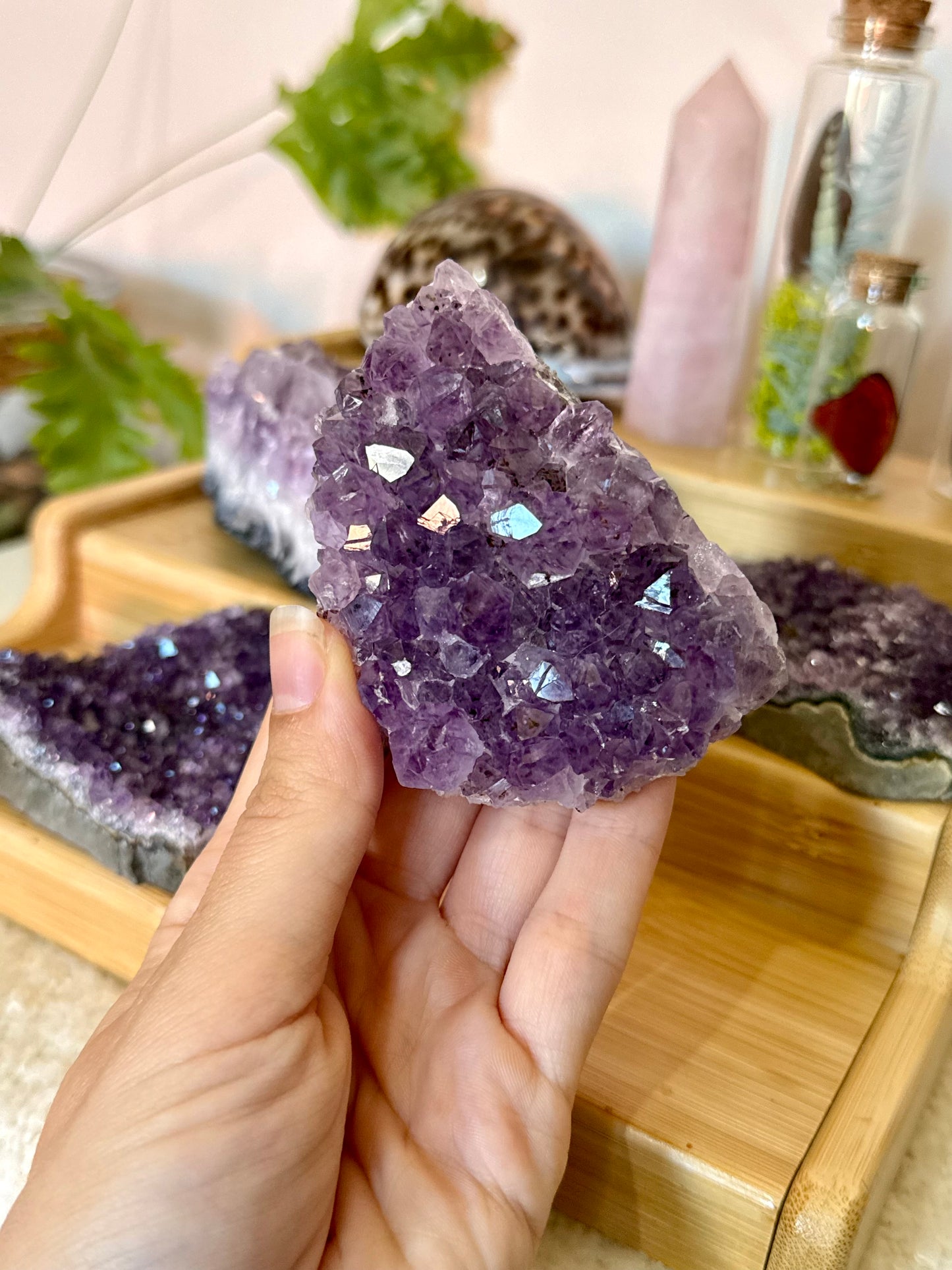 Amethyst Cluster