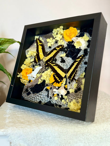 King Swallowtails with Carpet Python Slough, Bones and Botanicals