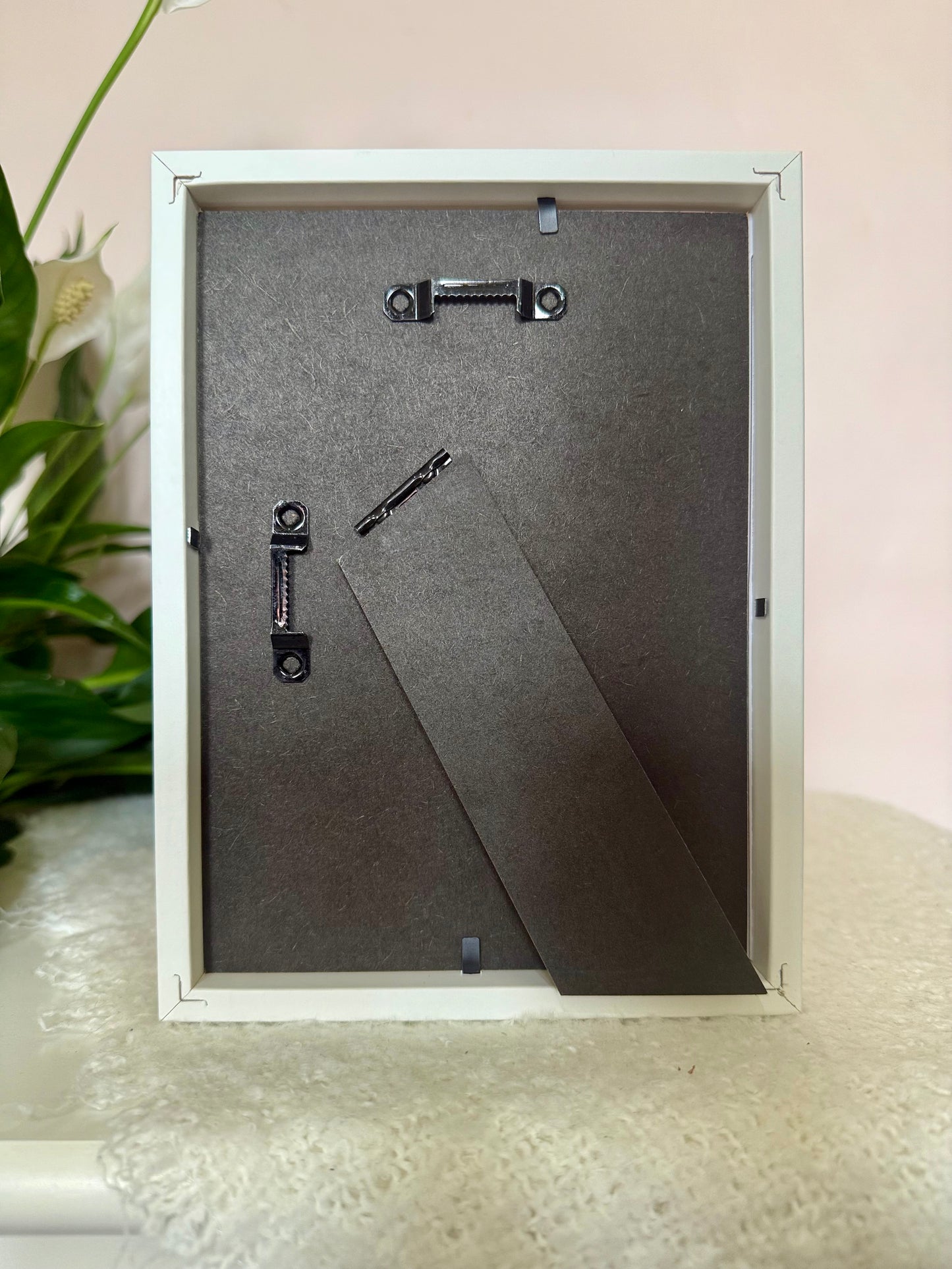 Golden Metallic Stag Beetle
