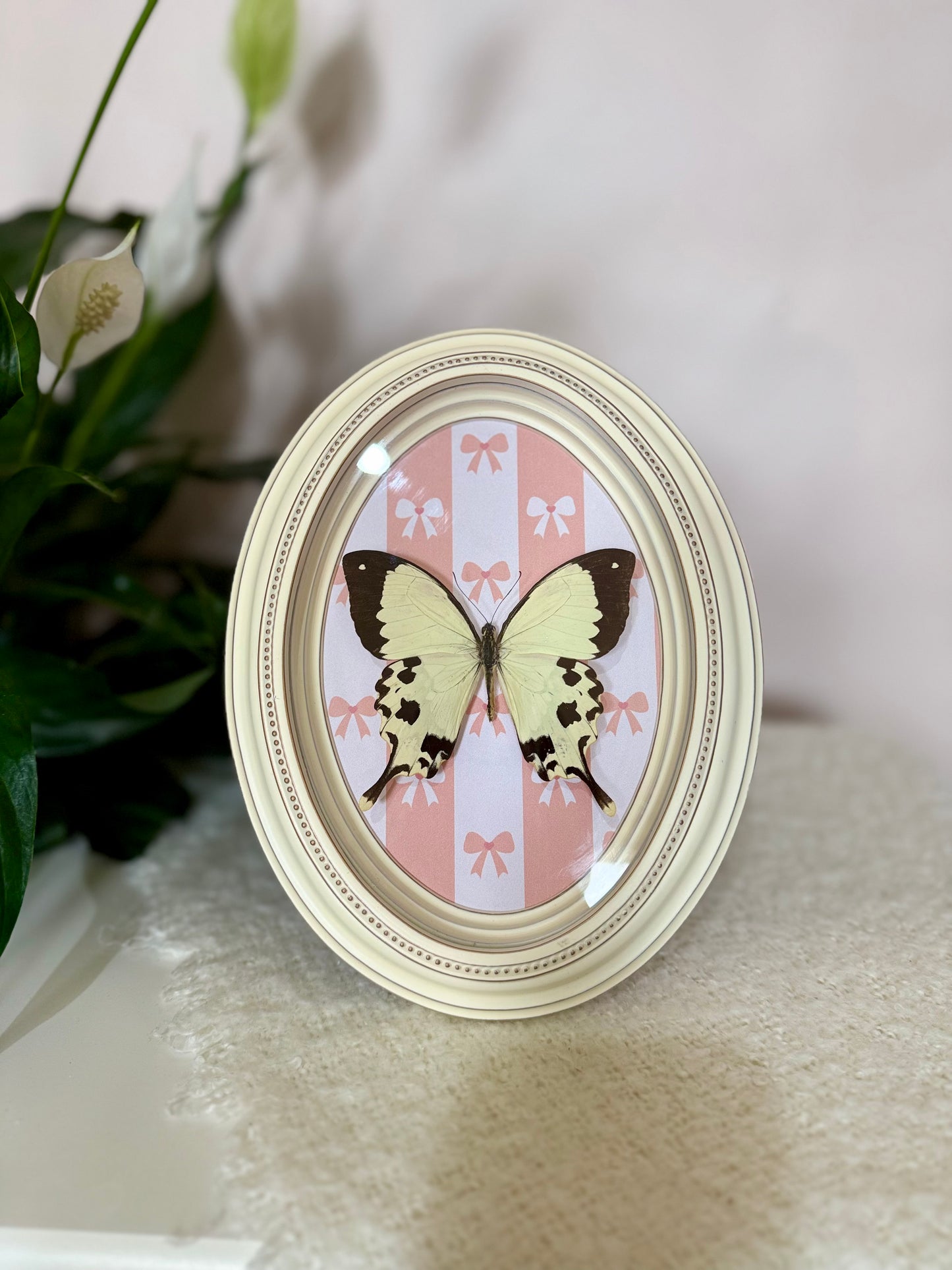 Mocker Swallowtail