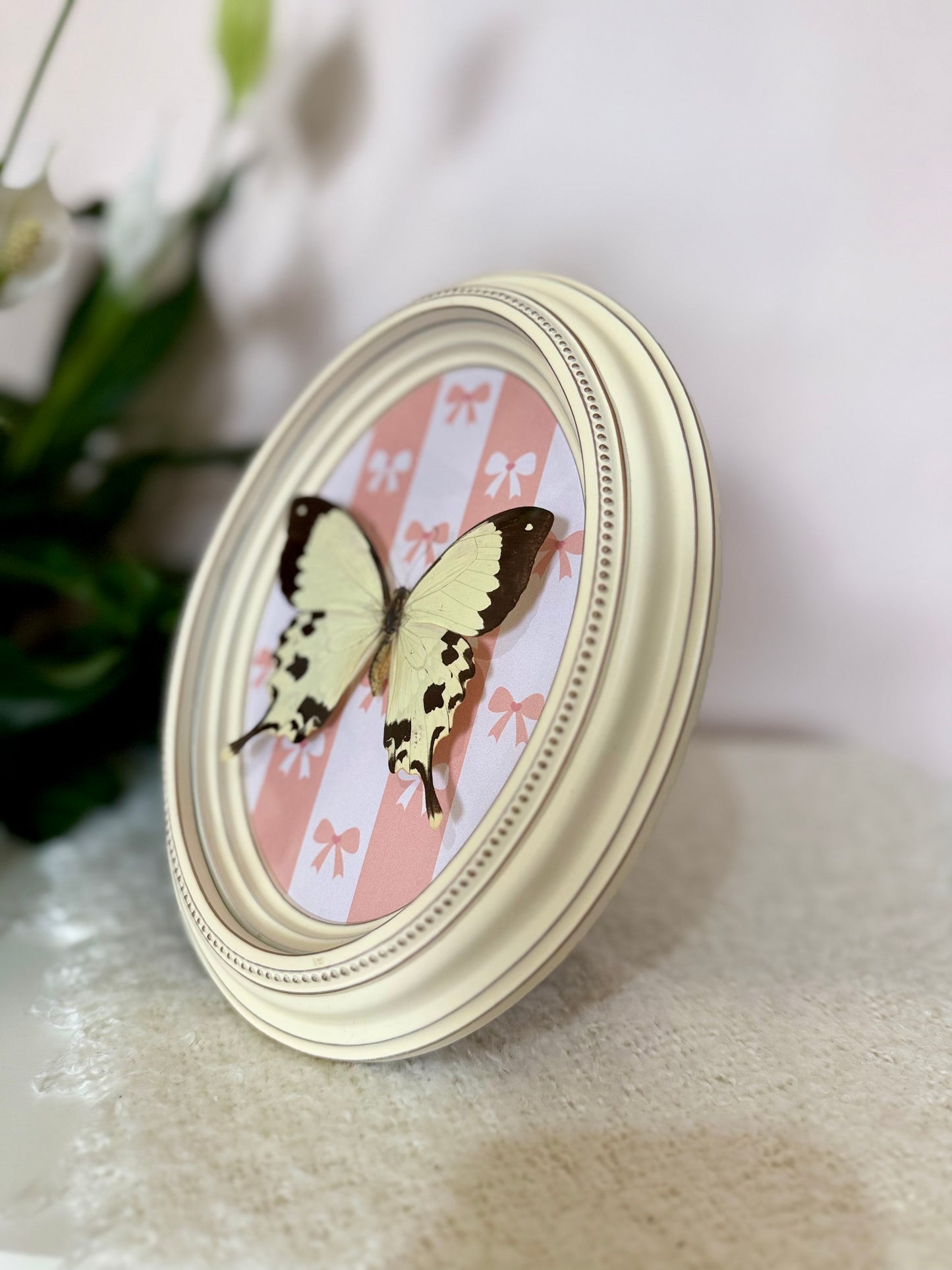 Mocker Swallowtail