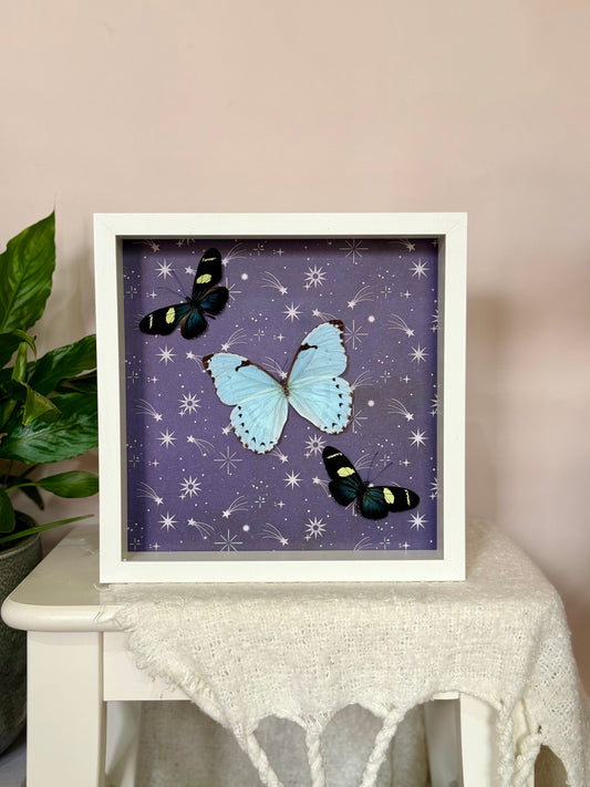 Mint Morpho & Sara Longwing Butterflies