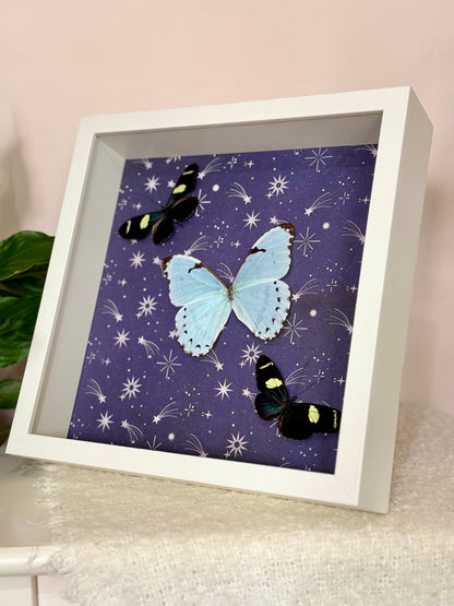 Mint Morpho & Sara Longwing Butterflies