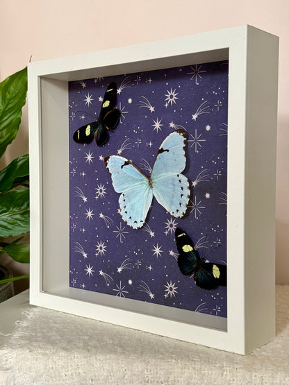 Mint Morpho & Sara Longwing Butterflies