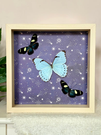 Mint Morpho & Sara Longwing Butterflies