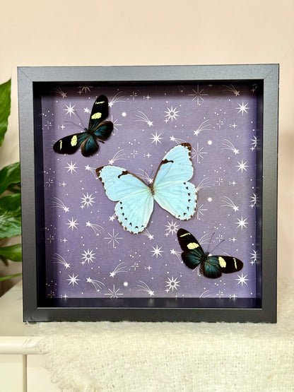 Mint Morpho & Sara Longwing Butterflies