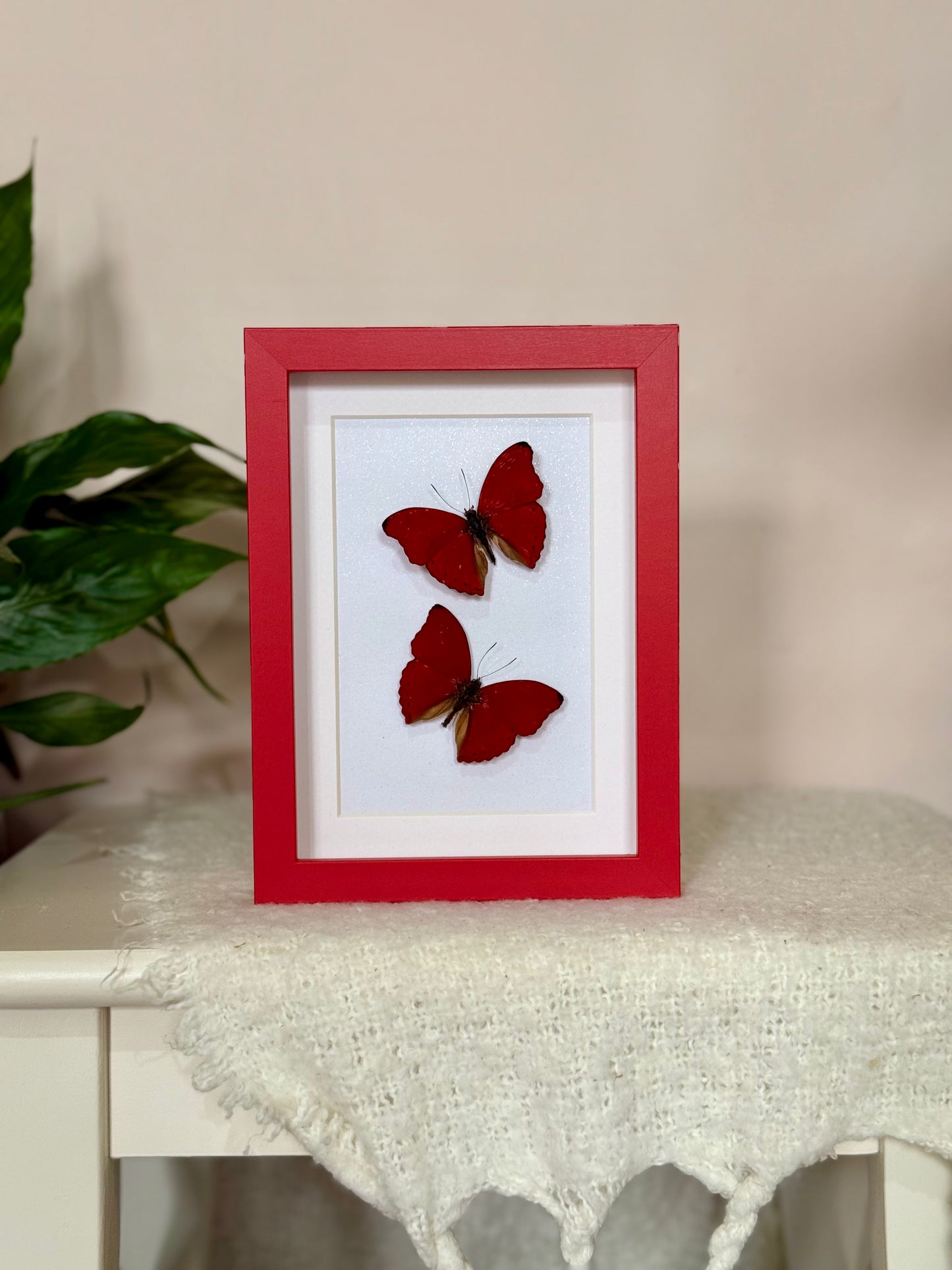 Two Blood Red Gliders