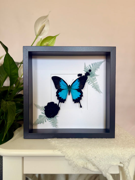 Ulysses Buttery with Botanicals