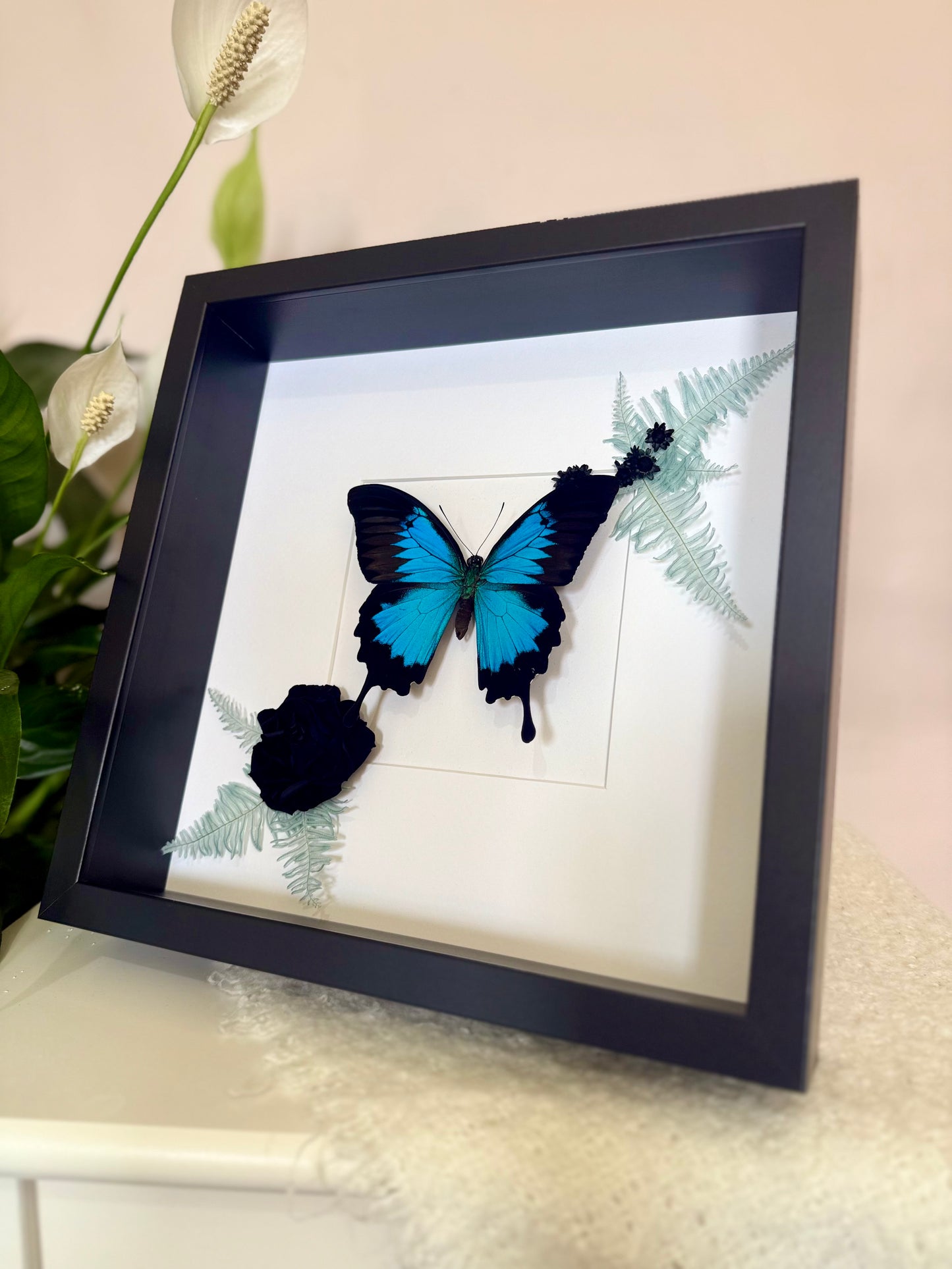 Ulysses Buttery with Botanicals