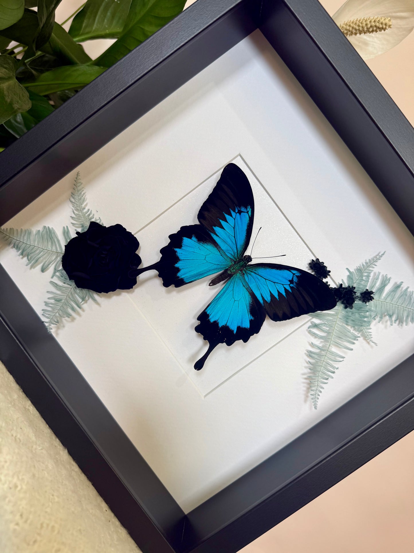 Ulysses Buttery with Botanicals