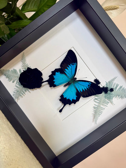 Ulysses Buttery with Botanicals