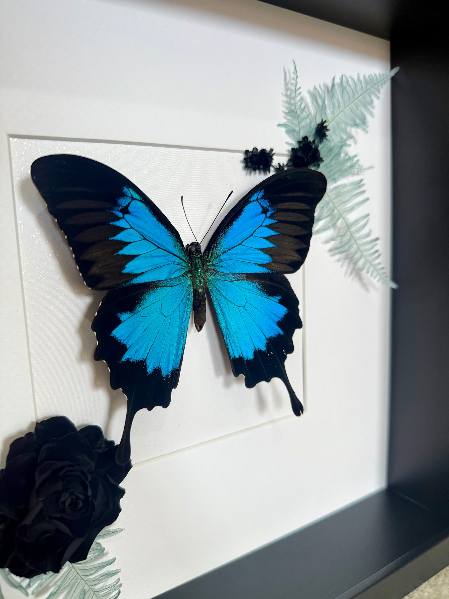 Ulysses Buttery with Botanicals