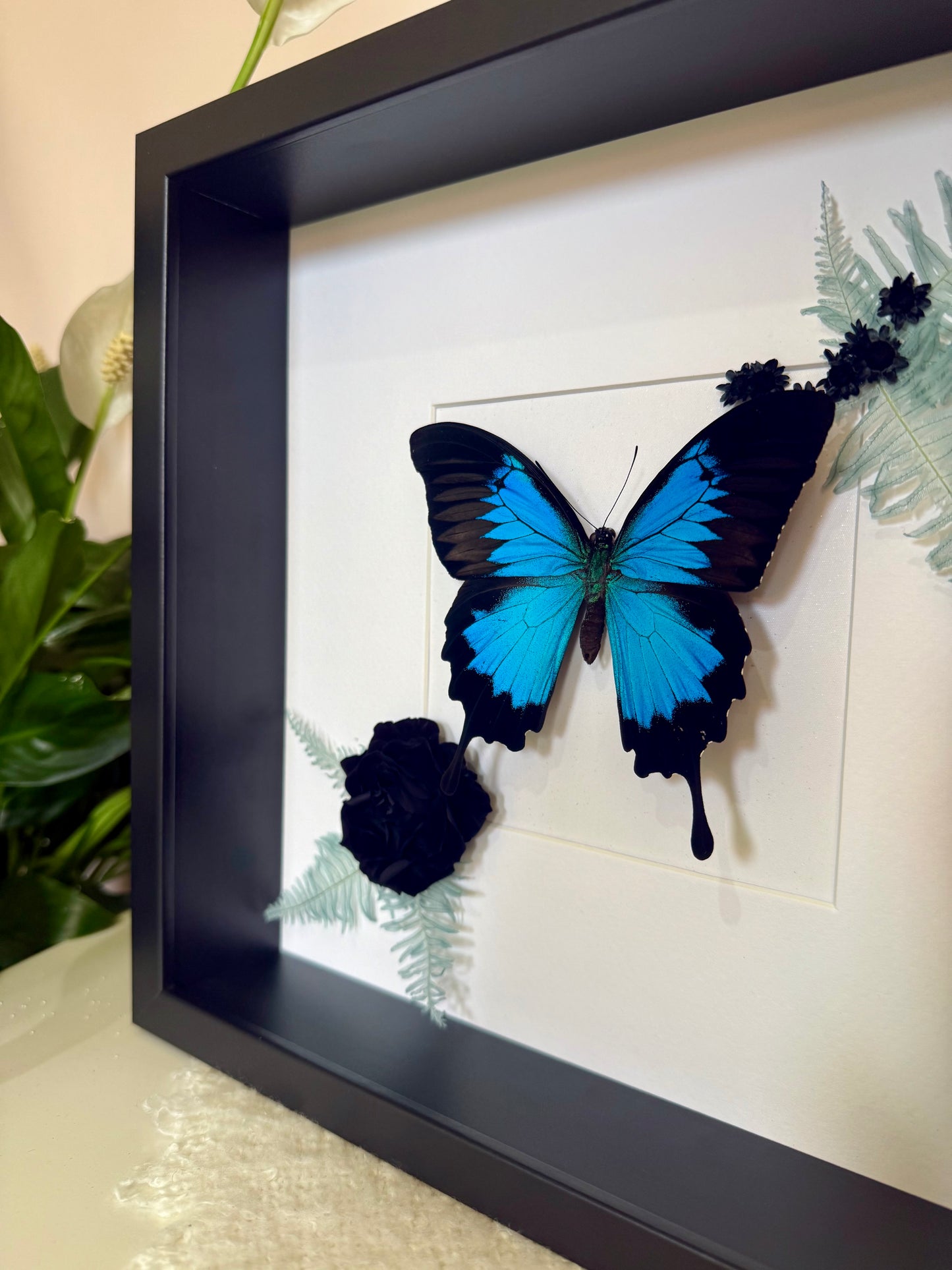 Ulysses Buttery with Botanicals