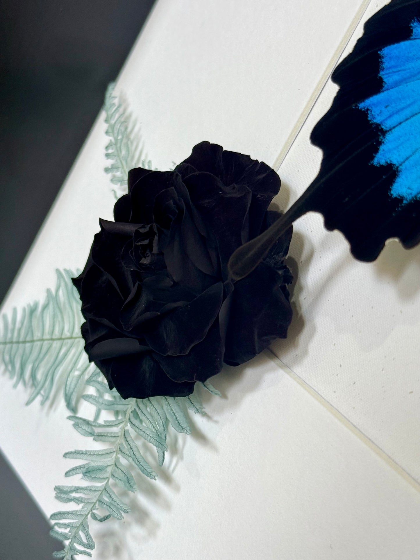 Ulysses Buttery with Botanicals