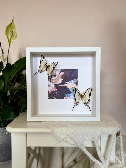 Great Kite Swallowtail Photo Frame