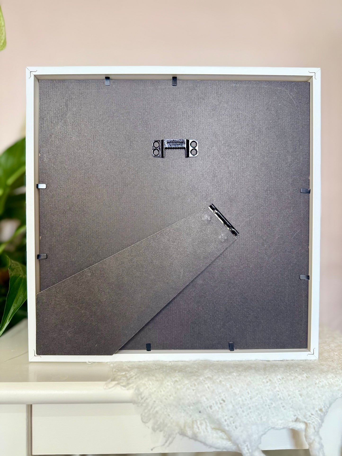 Great Kite Swallowtail Photo Frame