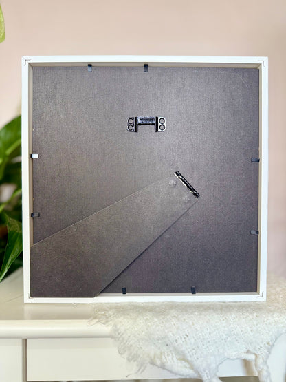 Great Kite Swallowtail Photo Frame