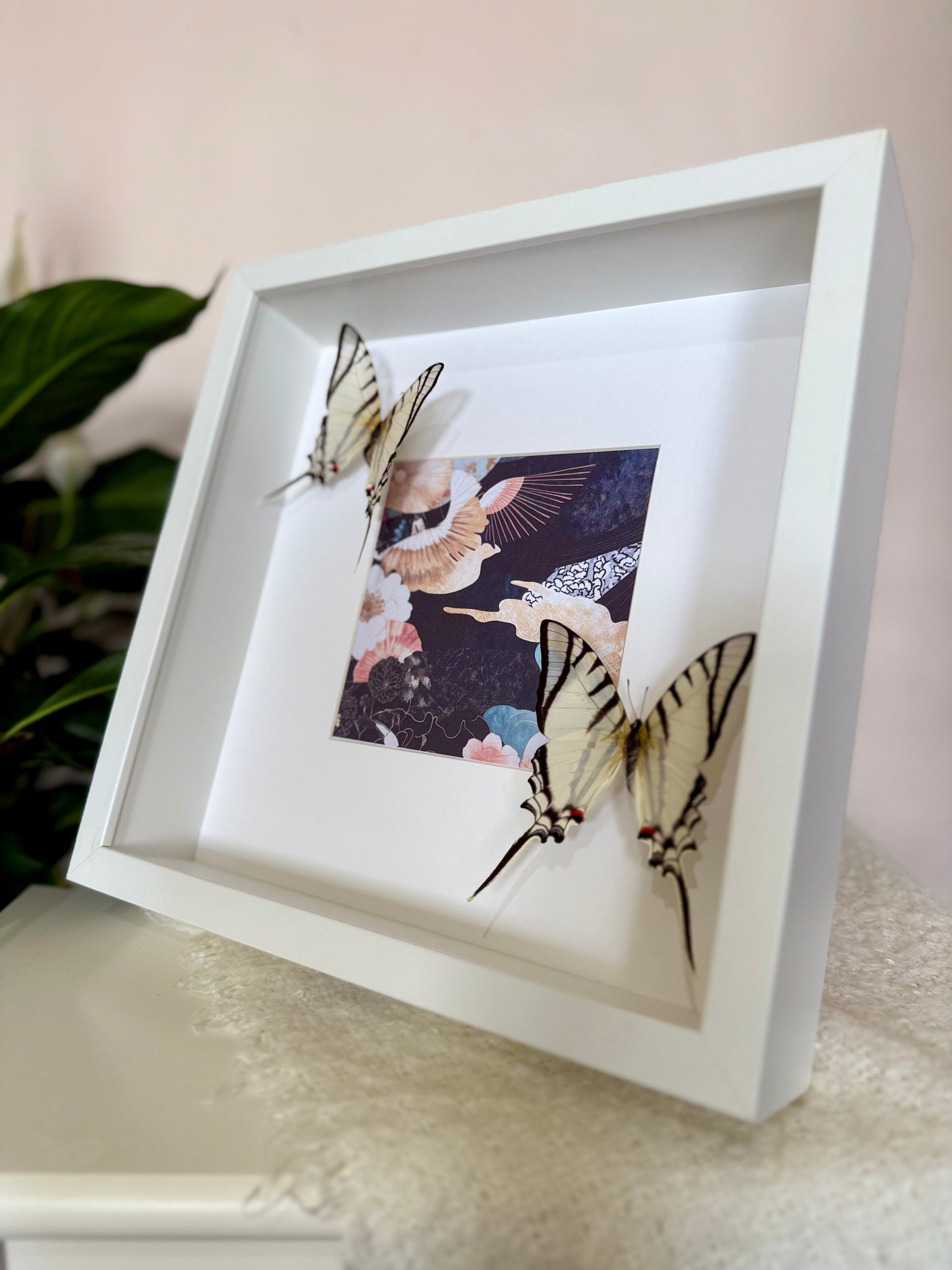 Great Kite Swallowtail Photo Frame