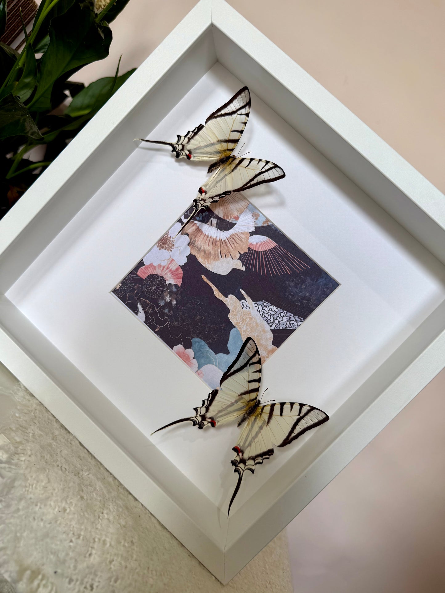 Great Kite Swallowtail Photo Frame