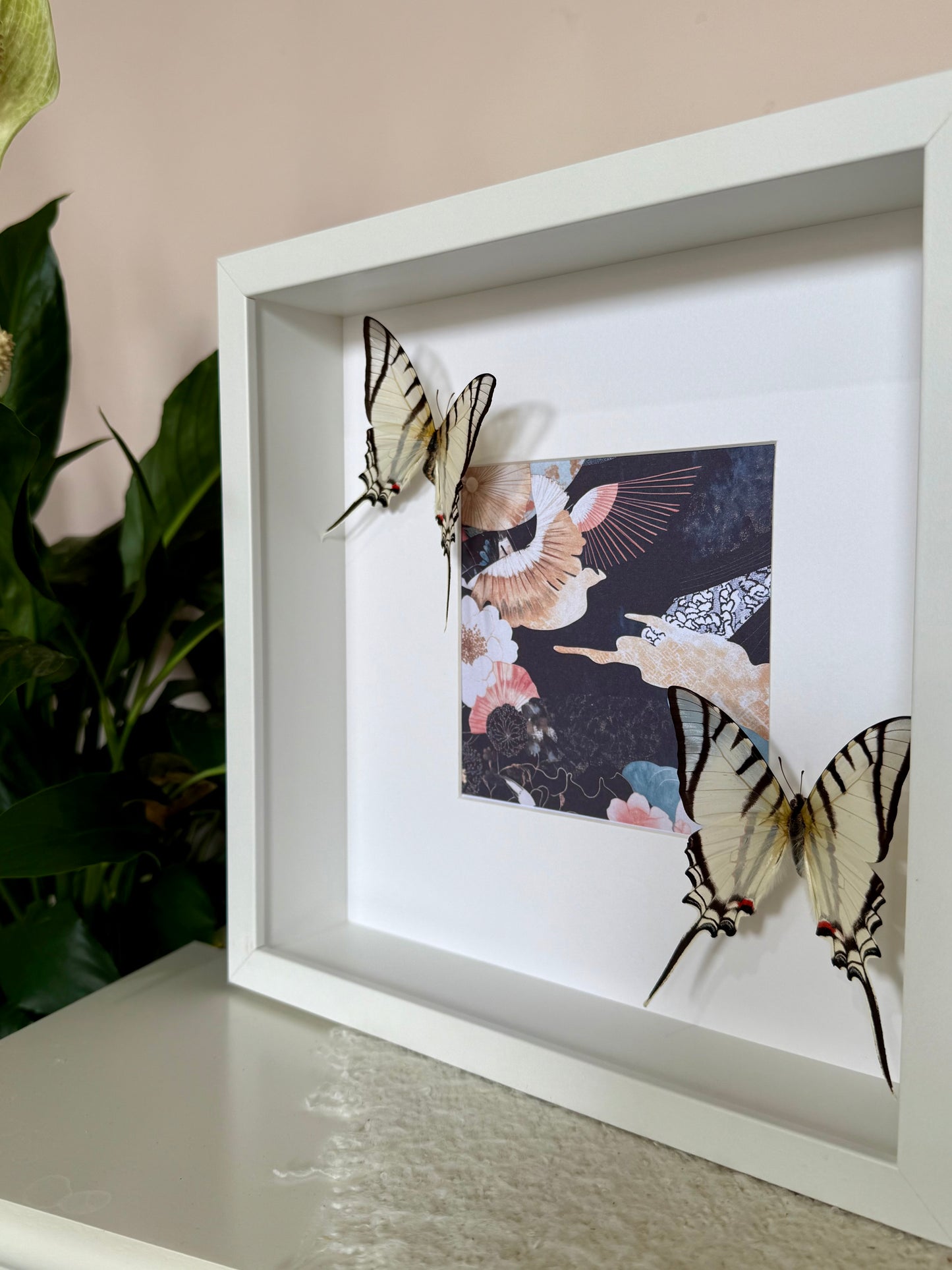 Great Kite Swallowtail Photo Frame