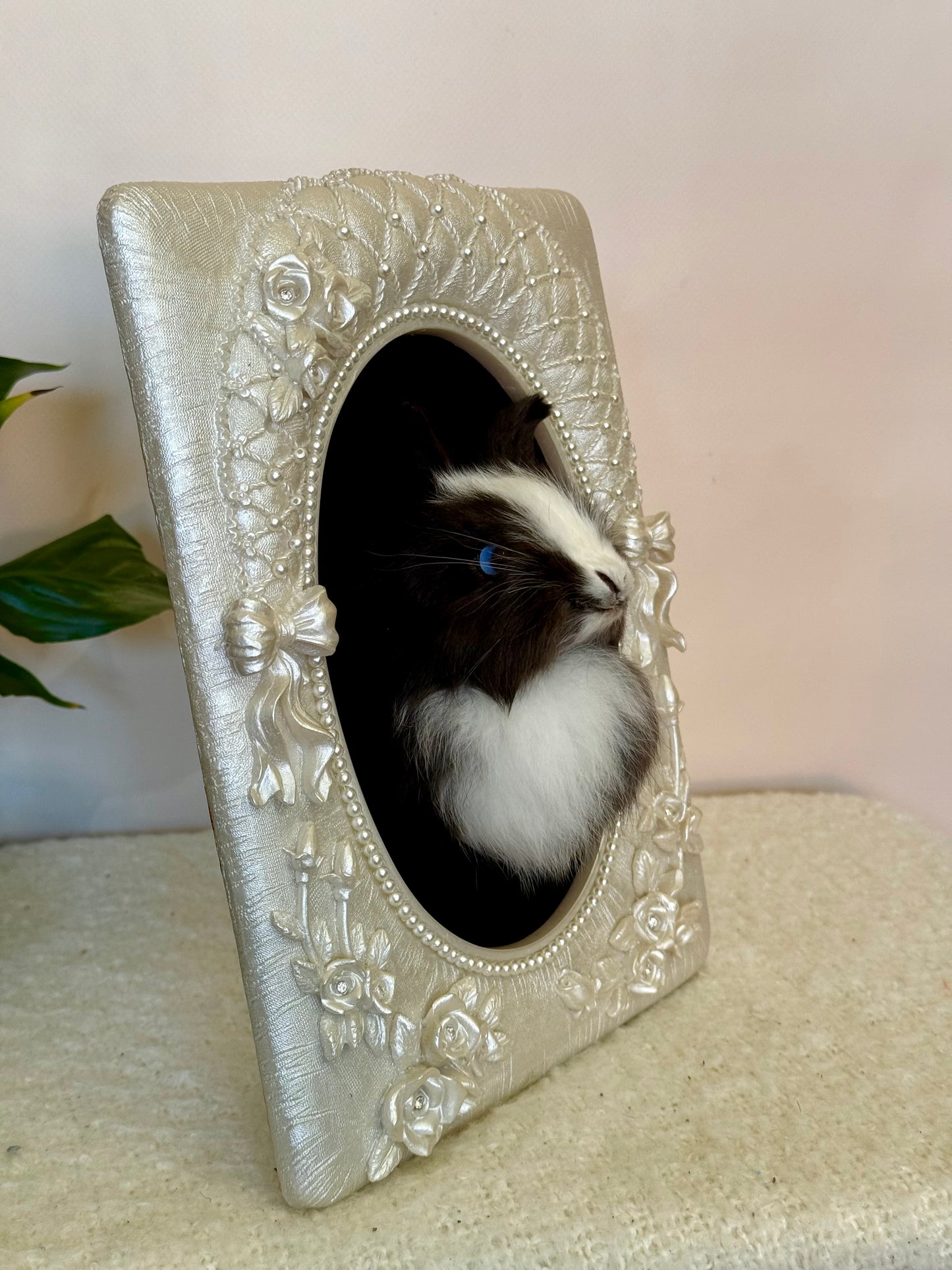 European Rabbit Head Mount
