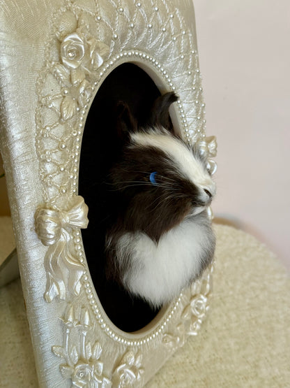 European Rabbit Head Mount