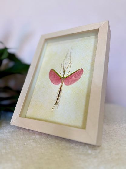 Green Jewel Stick Insect