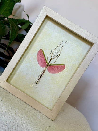 Green Jewel Stick Insect
