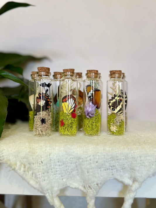 Butterfly Wing Curio Bottle with Moss & Flowers