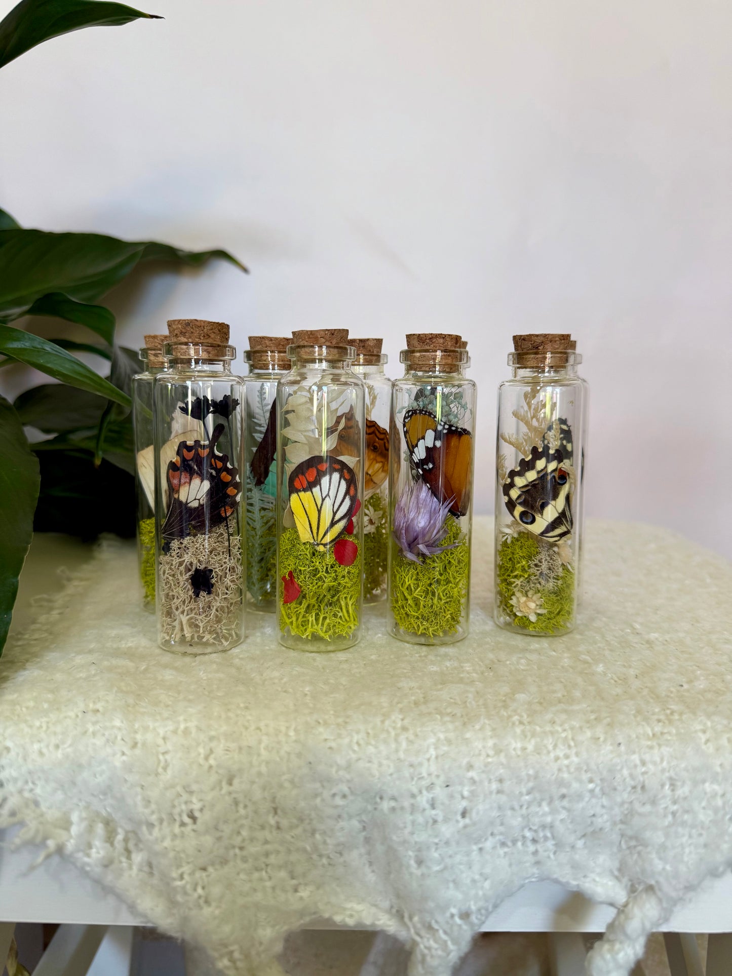 Butterfly Wing Curio Bottle with Moss & Flowers