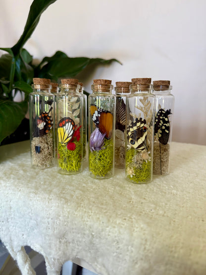 Butterfly Wing Curio Bottle with Moss & Flowers
