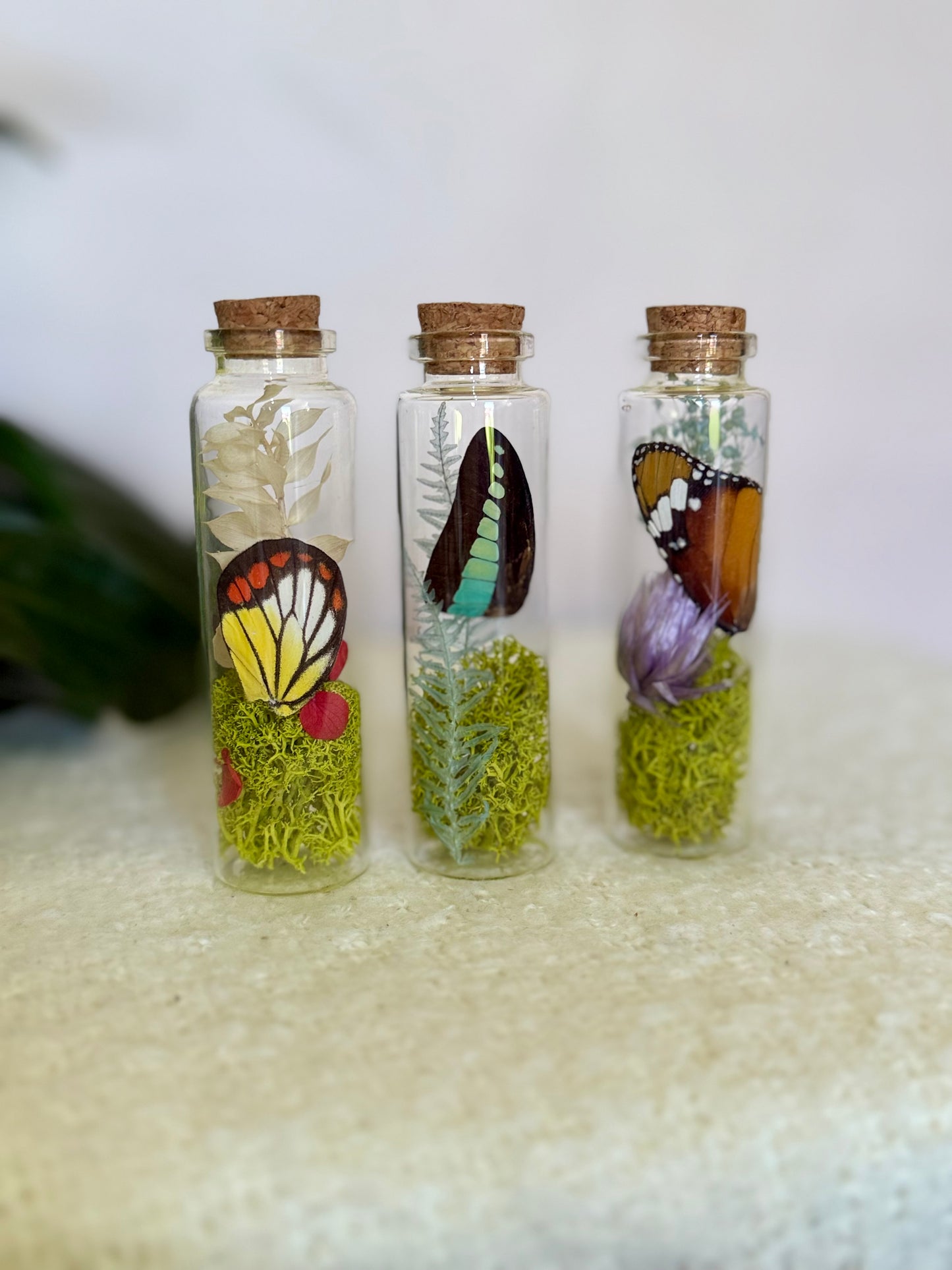Butterfly Wing Curio Bottle with Moss & Flowers