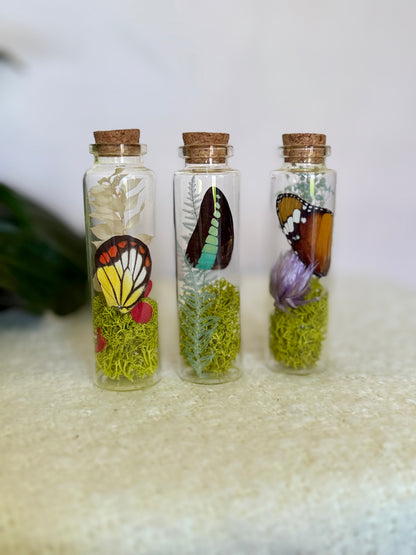 Butterfly Wing Curio Bottle with Moss & Flowers