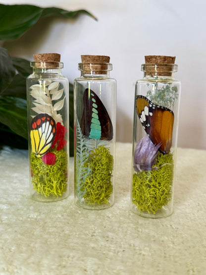 Butterfly Wing Curio Bottle with Moss & Flowers
