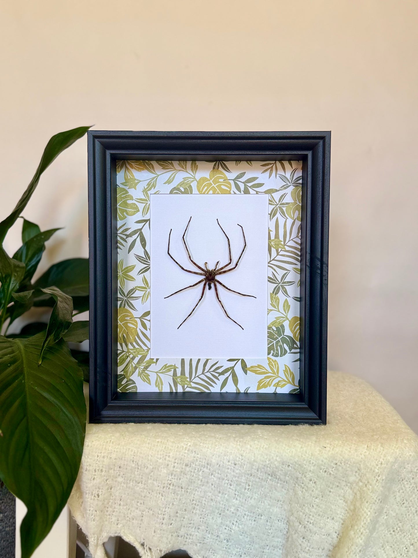 Lichen Huntsman Spider