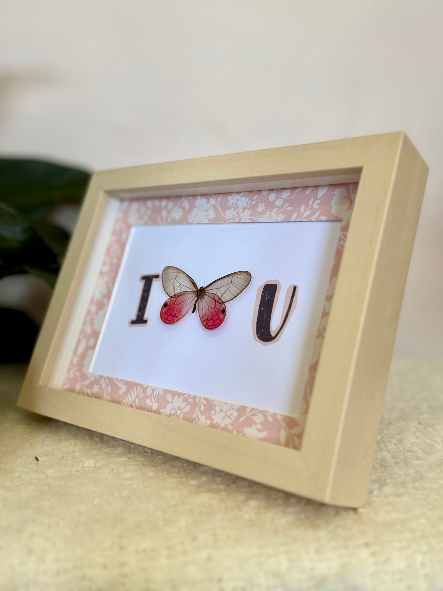 Blushing Phantom Butterfly - I Love U