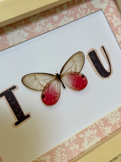 Blushing Phantom Butterfly - I Love U