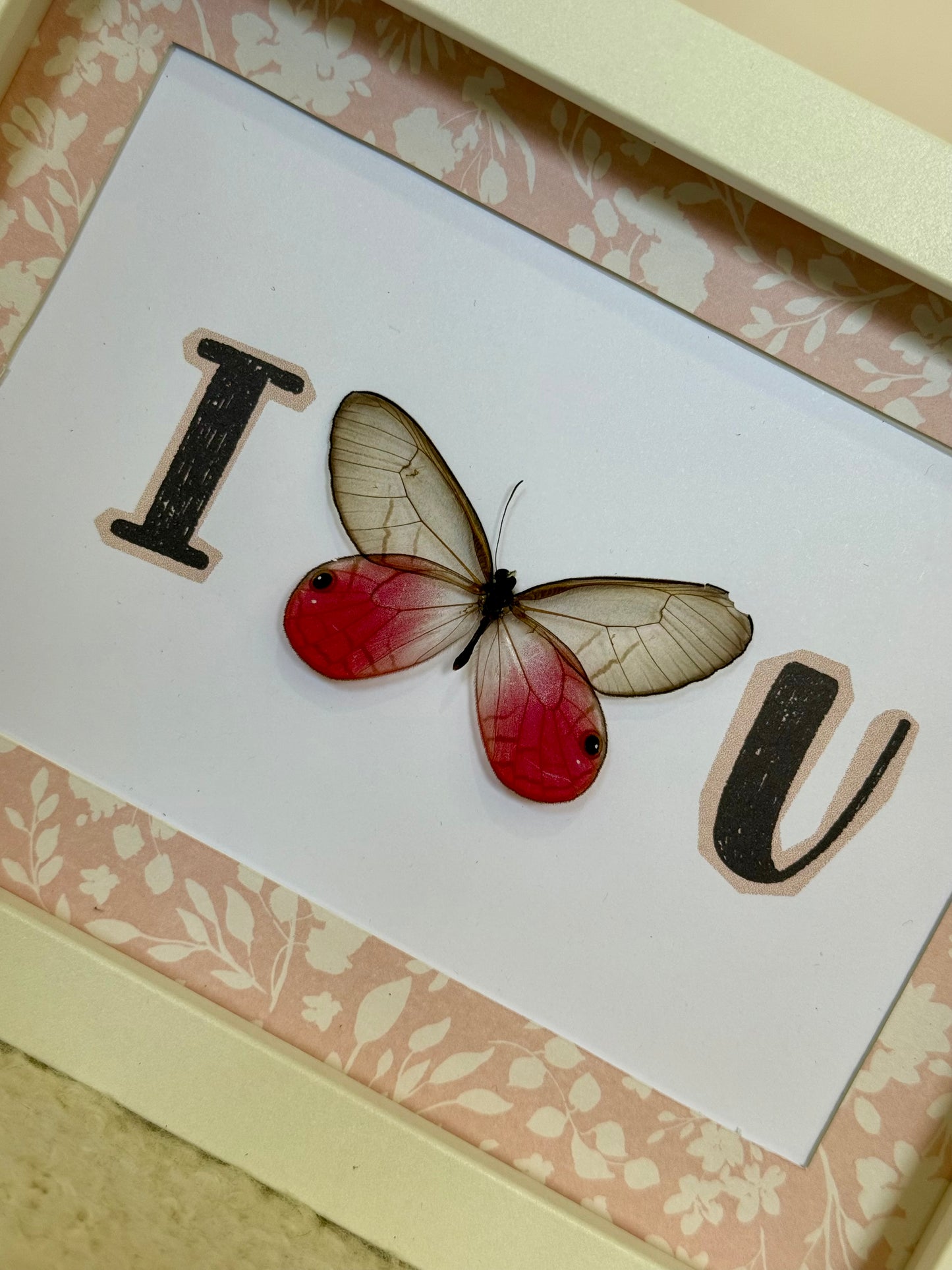 Blushing Phantom Butterfly - I Love U