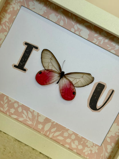 Blushing Phantom Butterfly - I Love U
