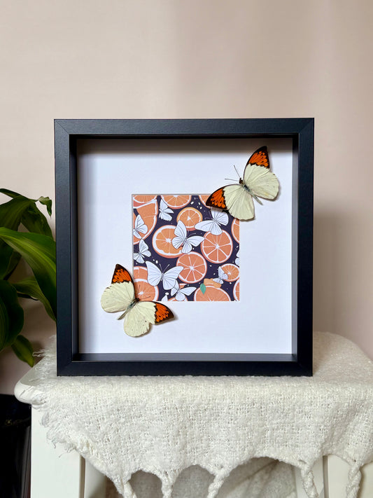Great Orange Tip Butterfly Photo Frame
