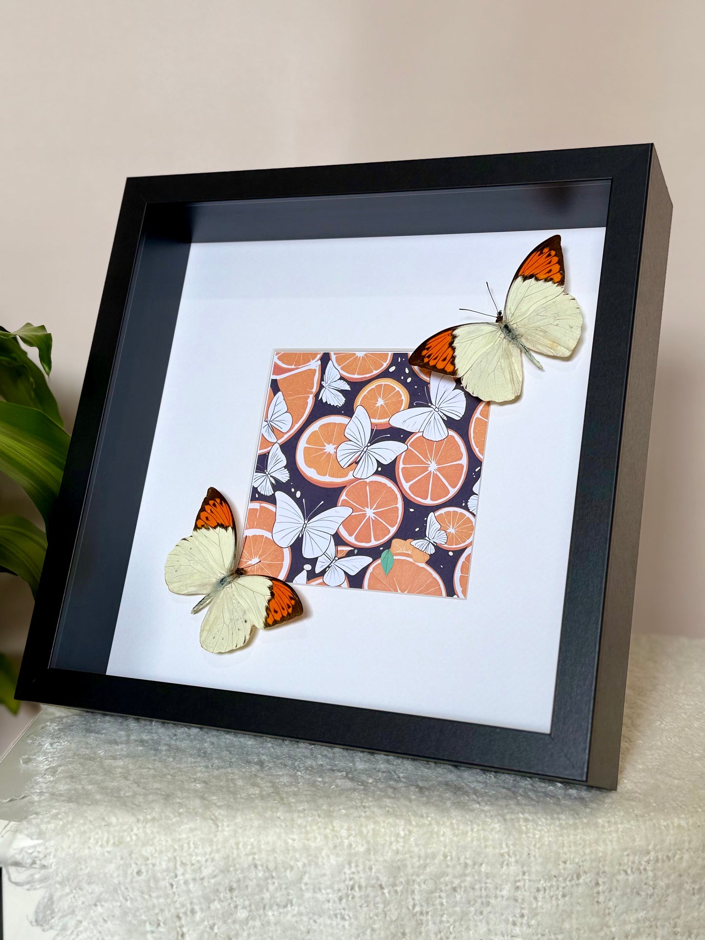 Great Orange Tip Butterfly Photo Frame