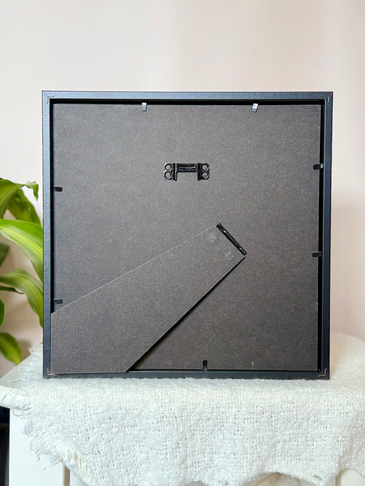 Great Orange Tip Butterfly Photo Frame