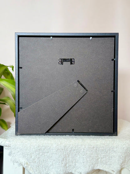 Great Orange Tip Butterfly Photo Frame