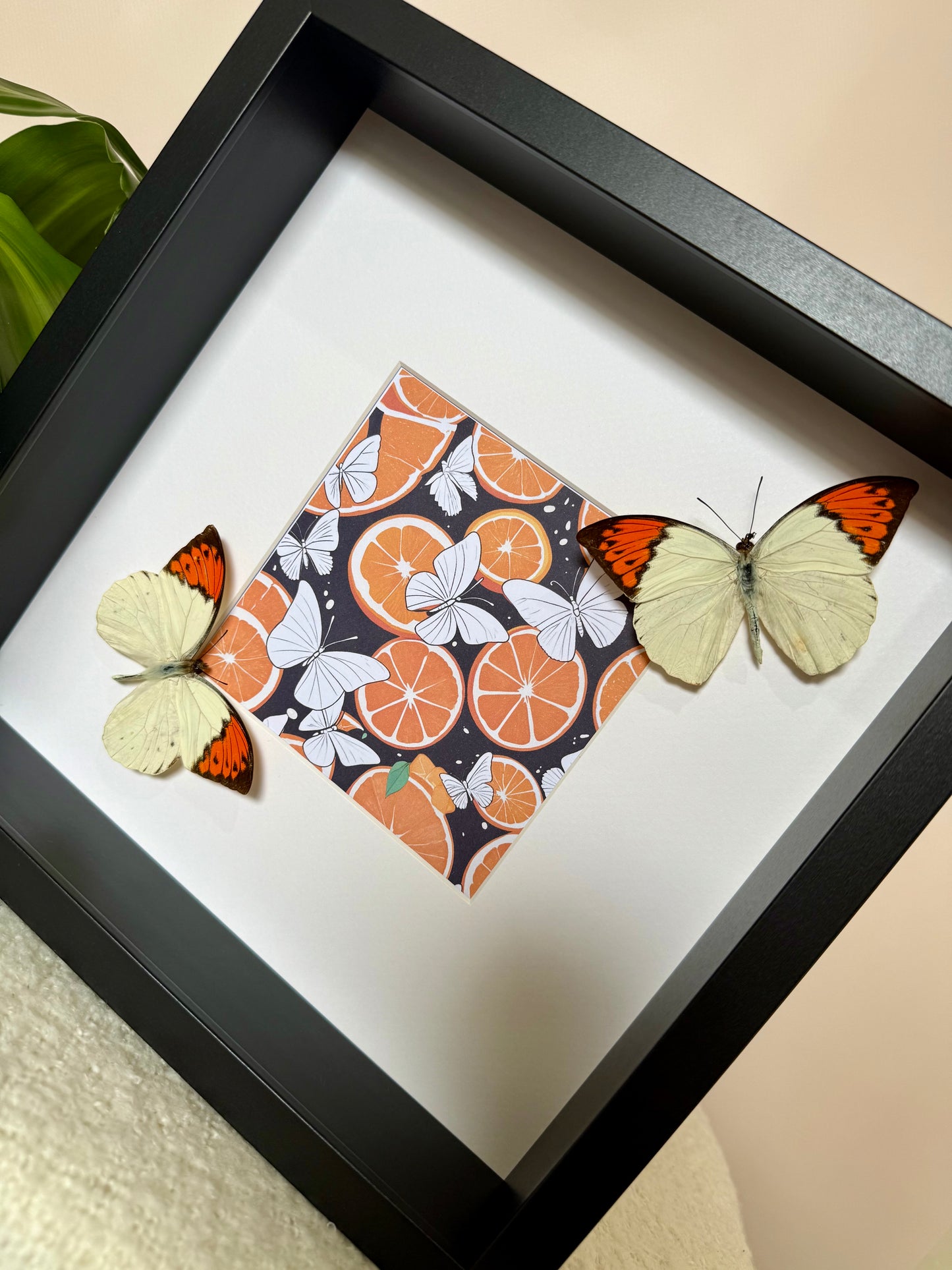 Great Orange Tip Butterfly Photo Frame