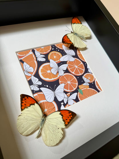 Great Orange Tip Butterfly Photo Frame